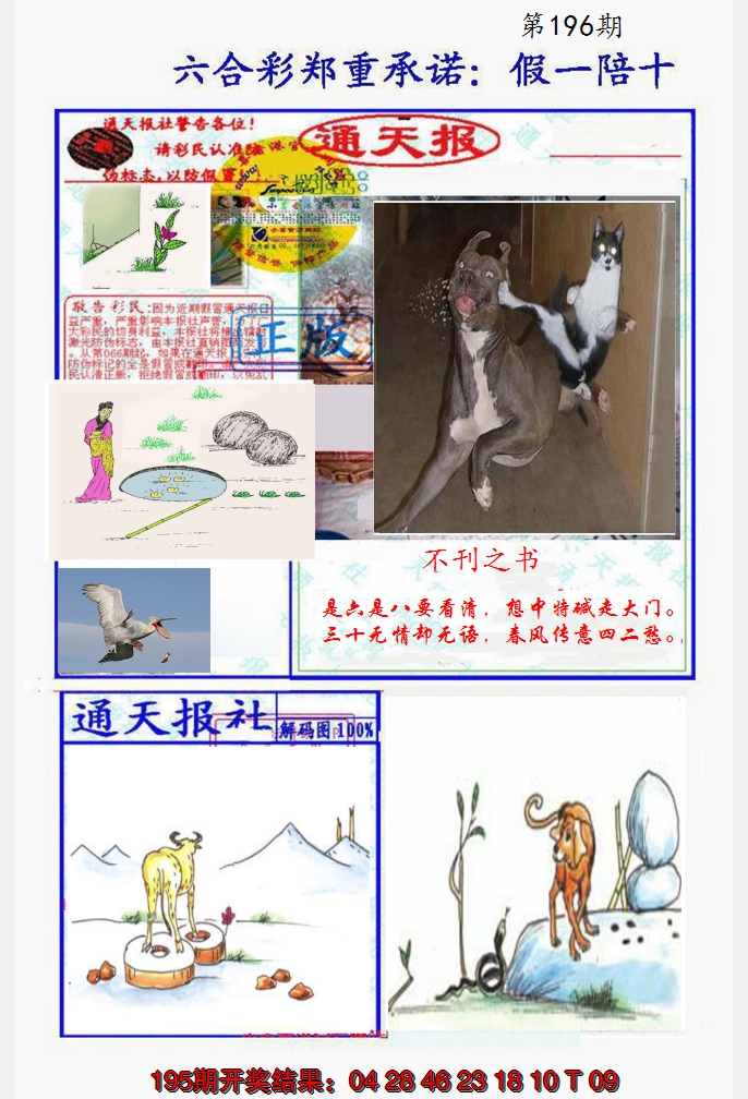 2024196期假一陪十通天报
