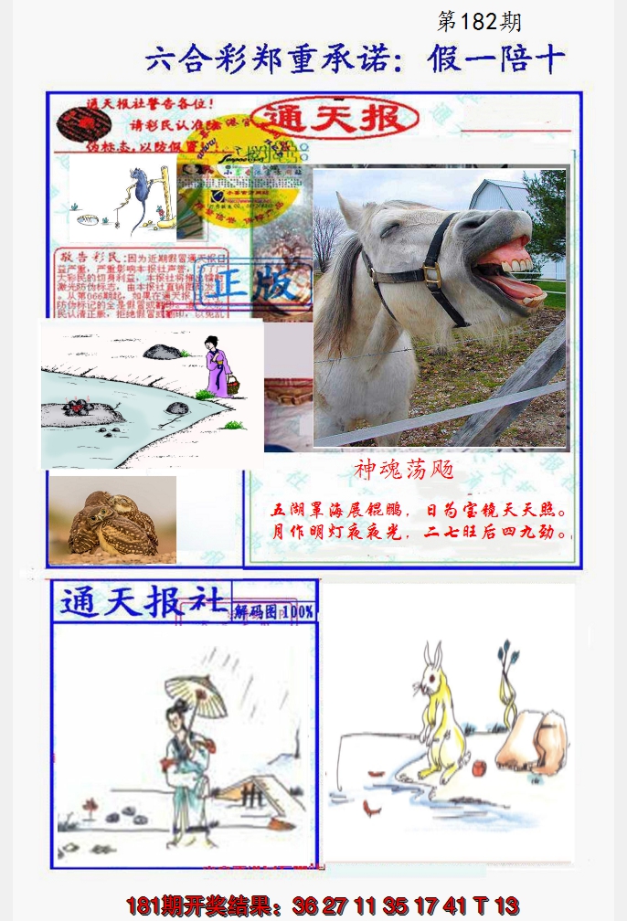 2024182期假一陪十通天报