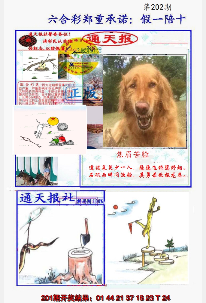2024202期假一陪十通天报