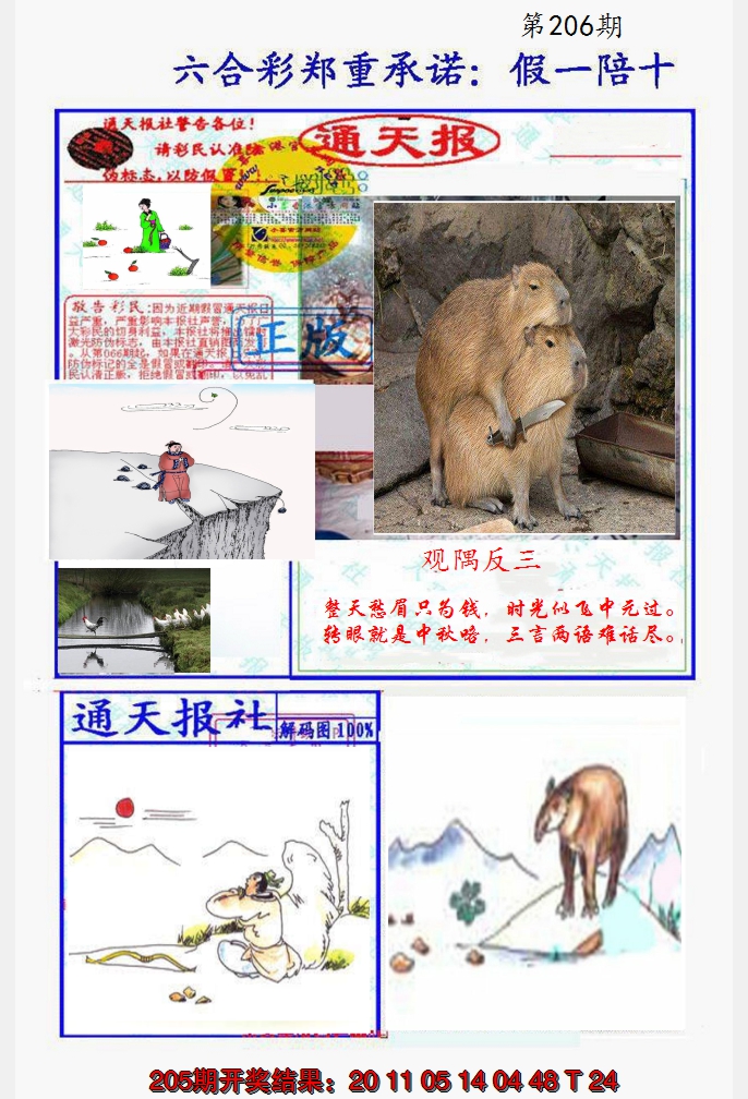 2024206期假一陪十通天报