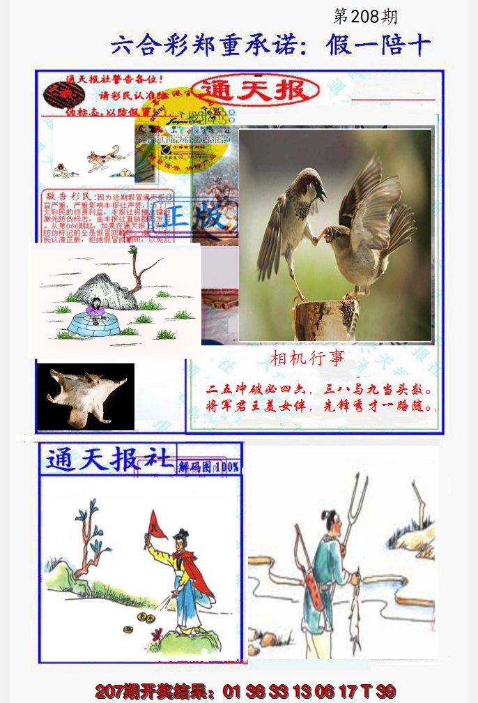 2024208期假一陪十通天报