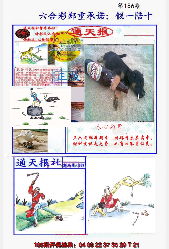 2024186期假一陪十通天报