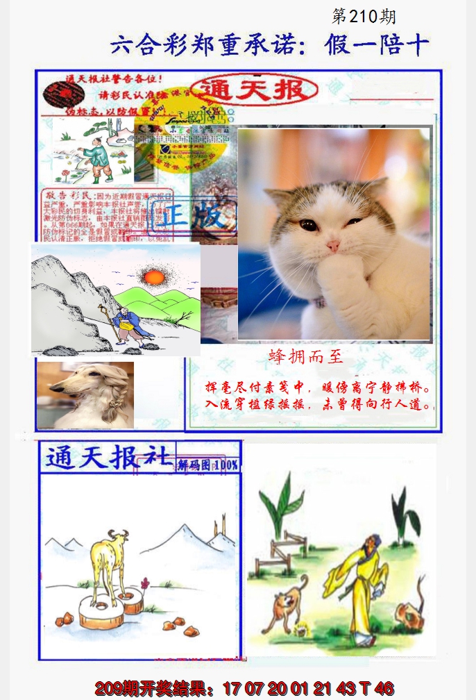 2024210期假一陪十通天报