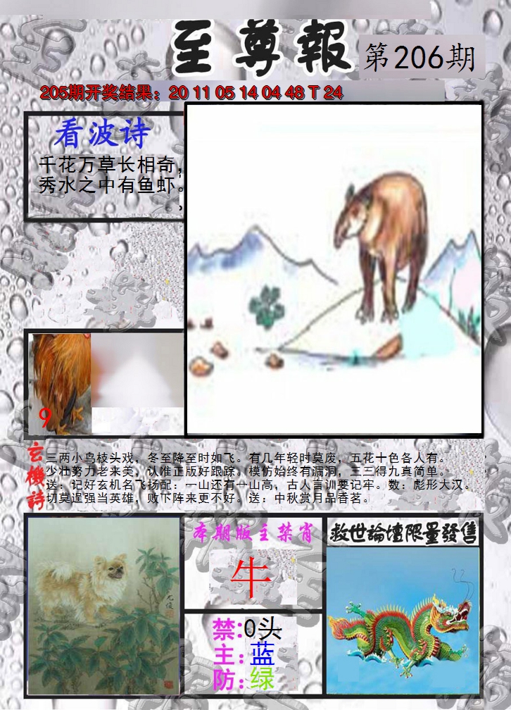 2024206期至尊报