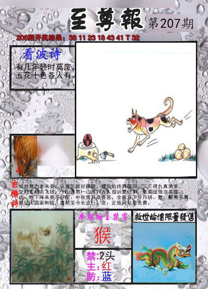 2024207期至尊报