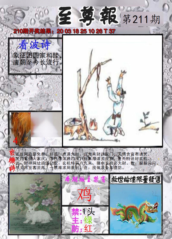2024211期至尊报