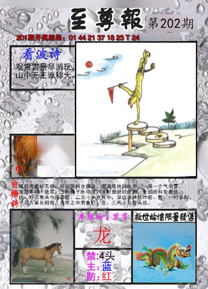 2024202期至尊报