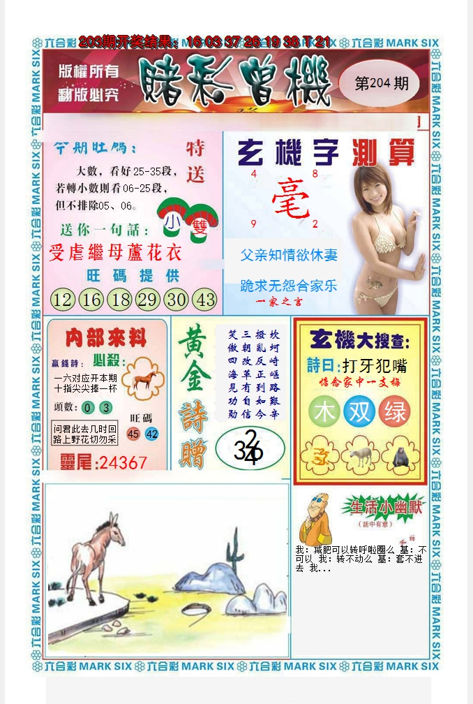 2024204期赌彩曾机
