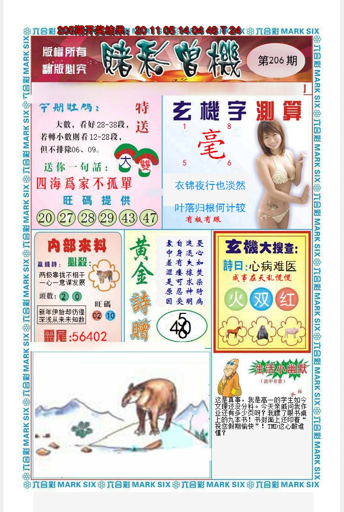 2024206期赌彩曾机