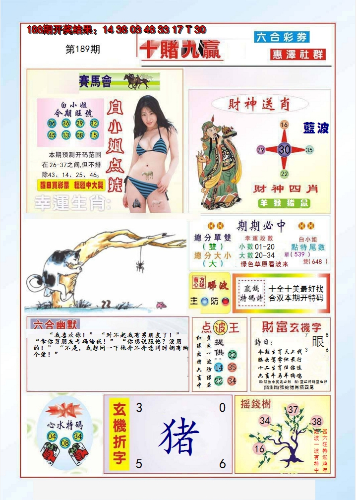 2024189期十赌九羸
