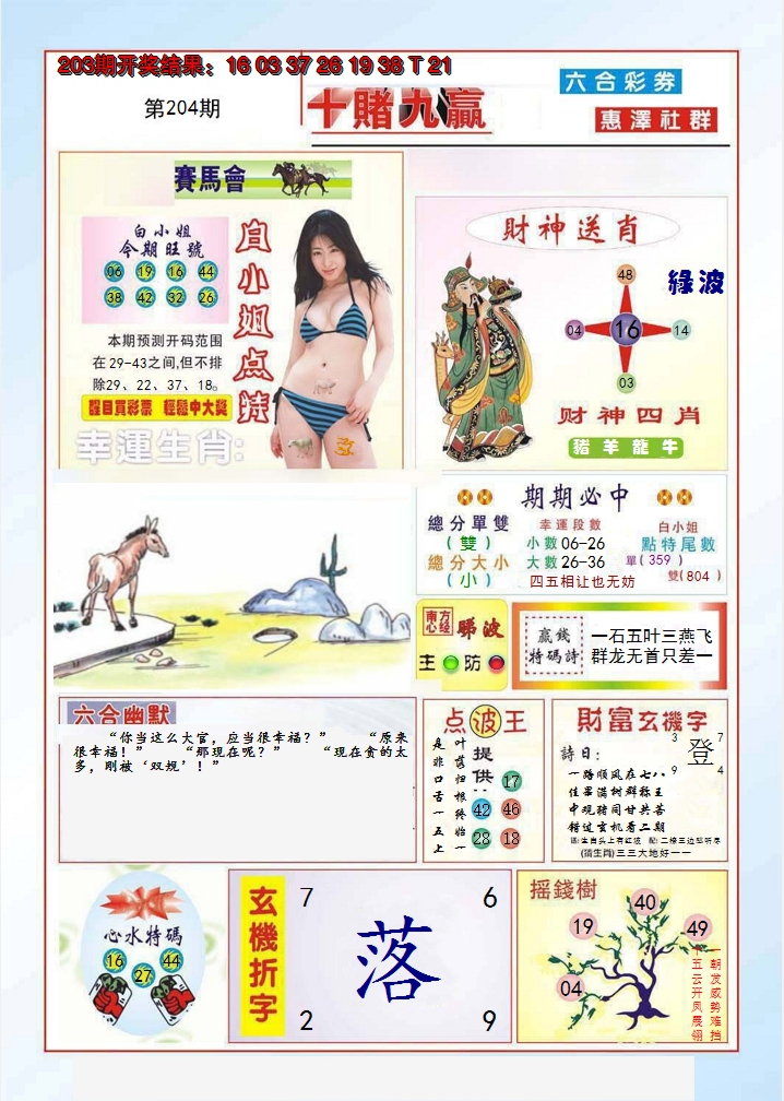 2024204期十赌九羸