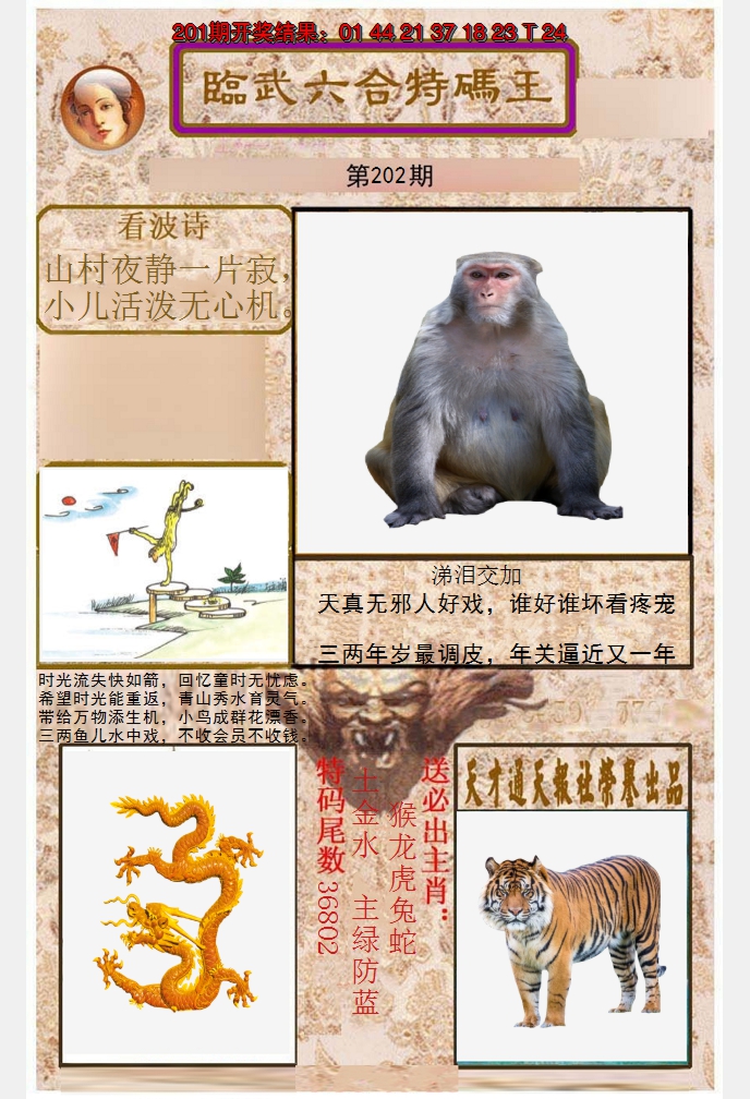 2024202期临武六合特码王