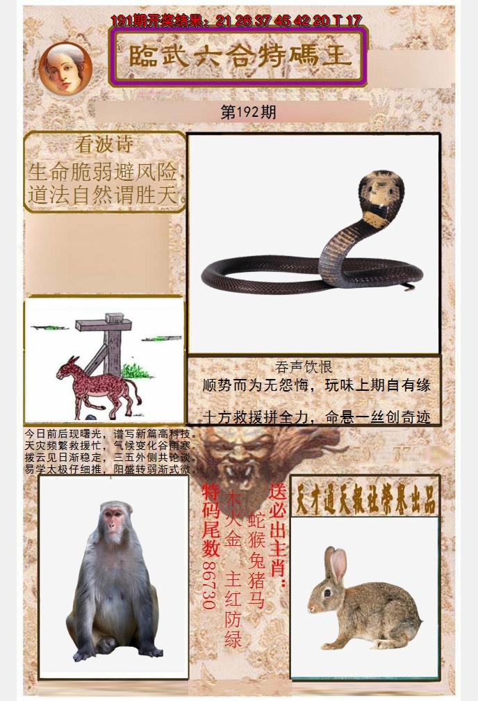 2024192期临武六合特码王