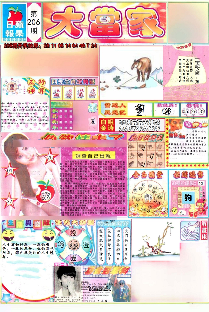 2024206期彩卷后庄A