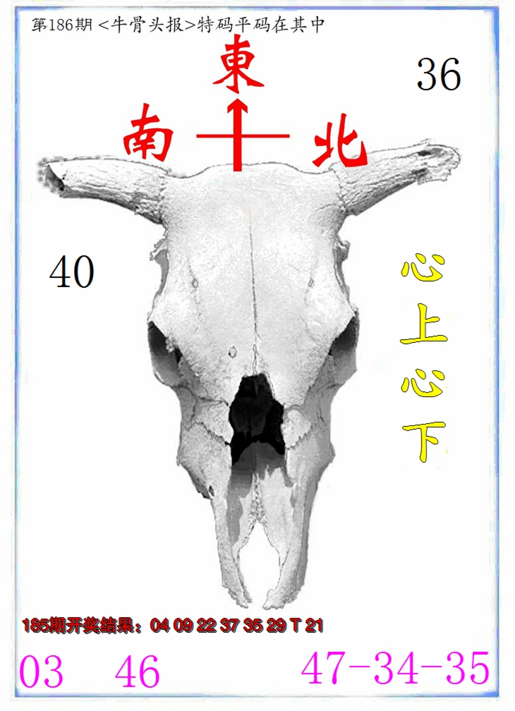 2024186期牛派系列7