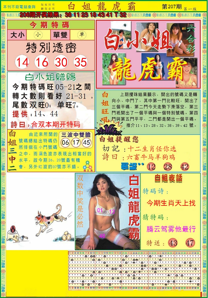 2024207期白小姐龙虎霸A