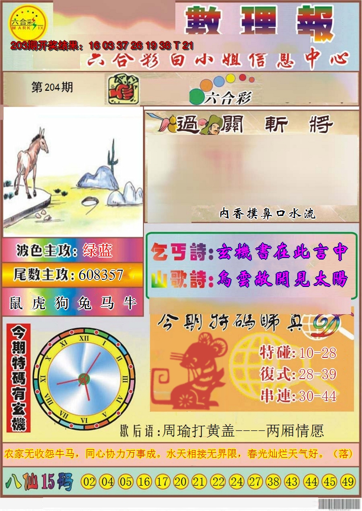 2024204期九龙数理报