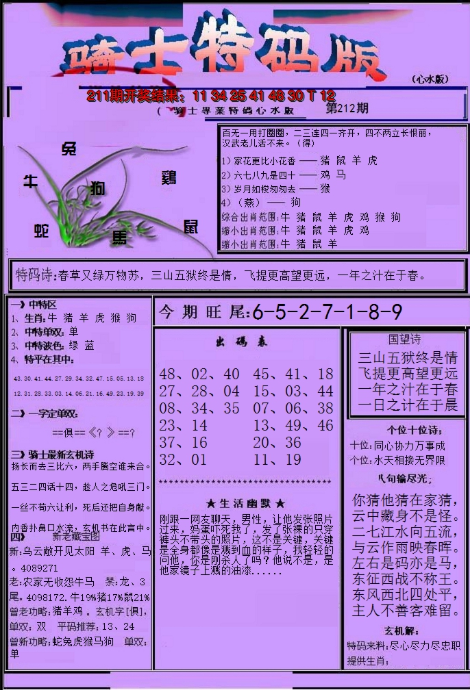 2024212期骑士特码版