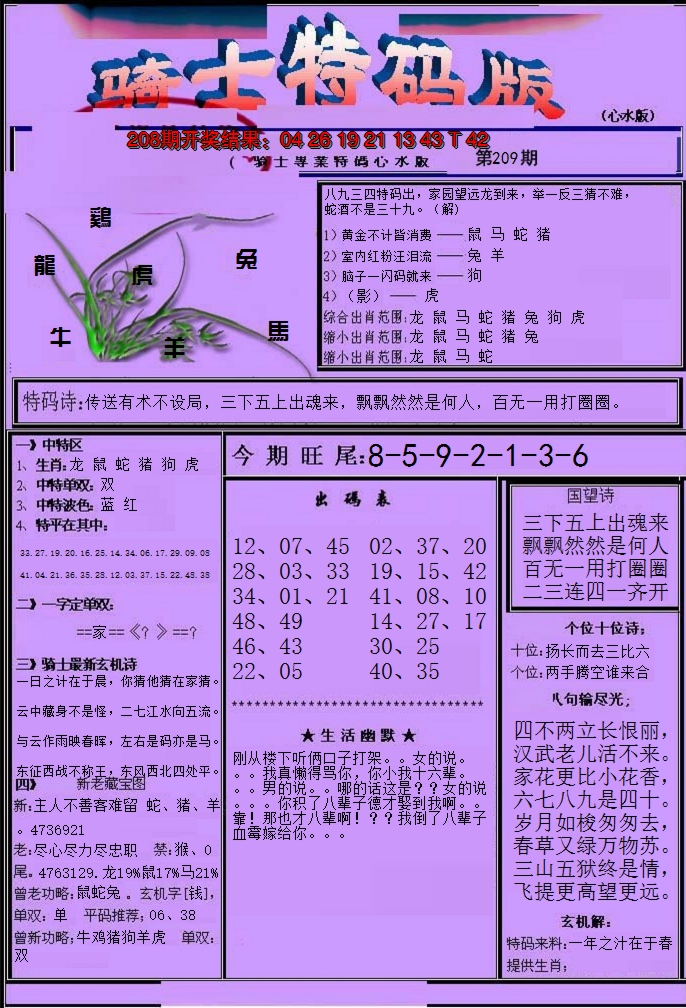 2024209期骑士特码版