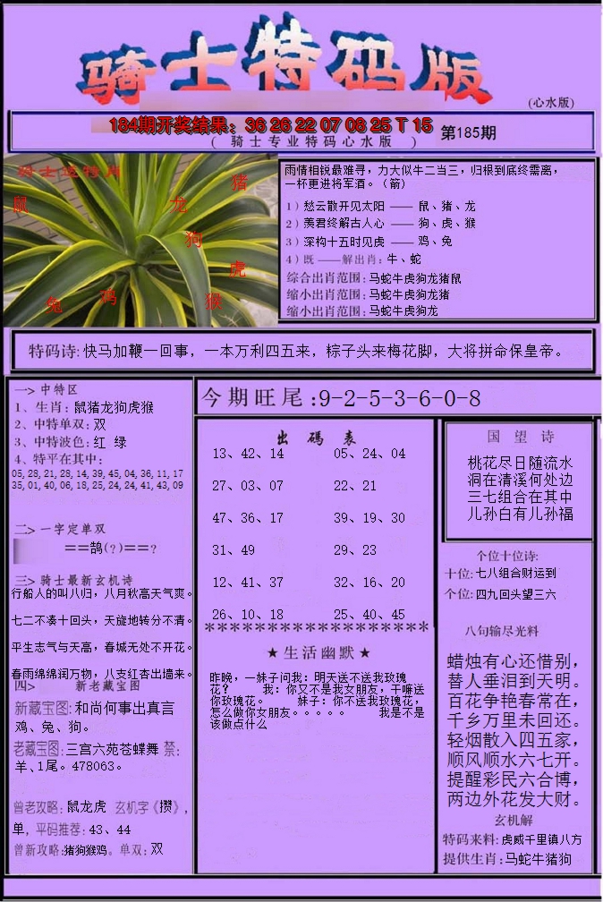 2024185期骑士特码版