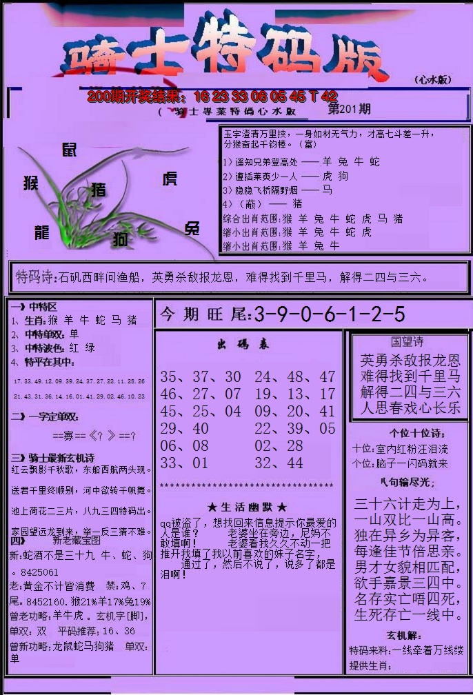 2024201期骑士特码版