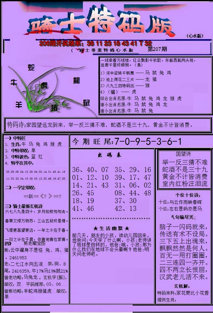 2024207期骑士特码版