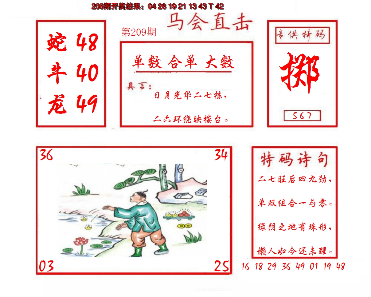 2024209期马会直击