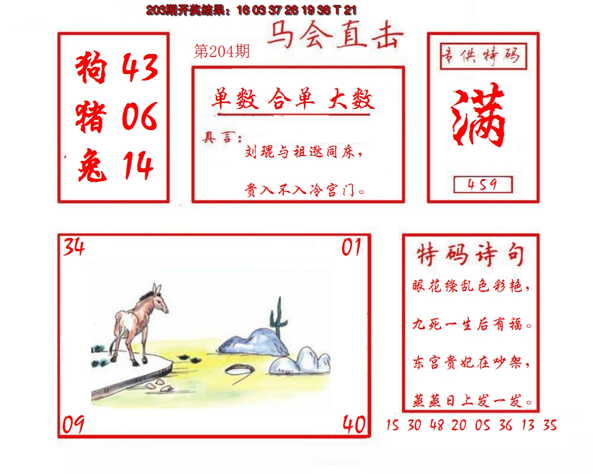 2024204期马会直击