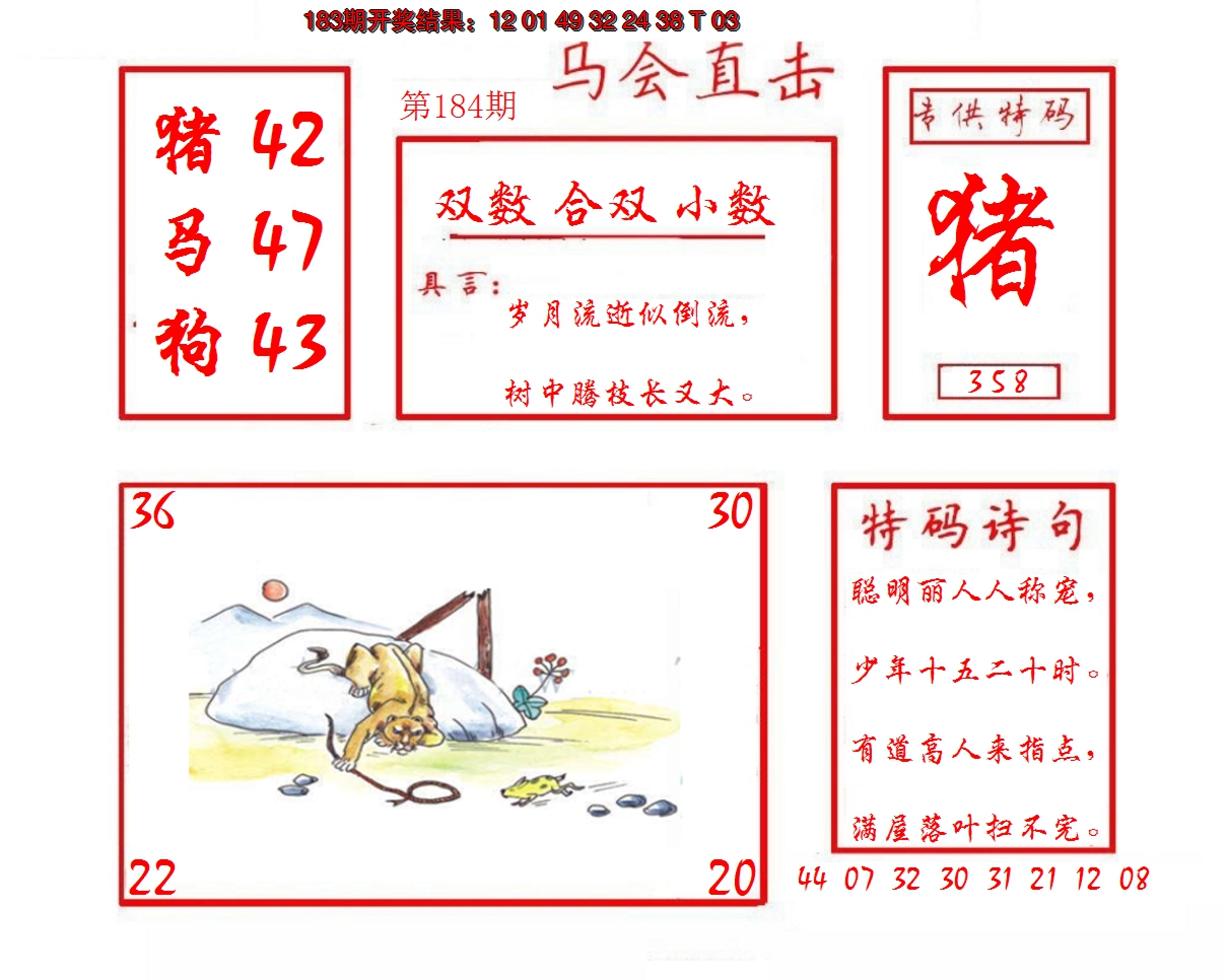 2024184期马会直击