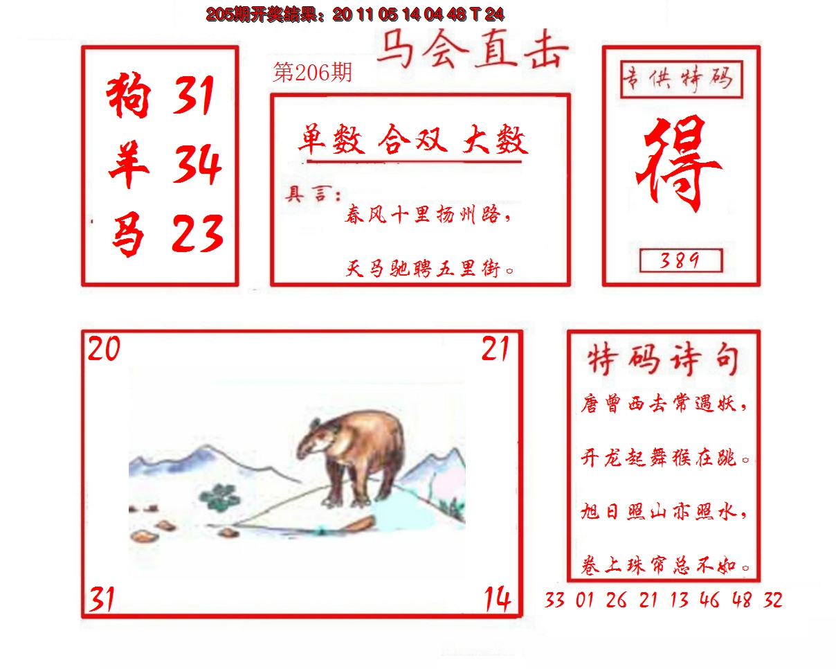 2024206期马会直击