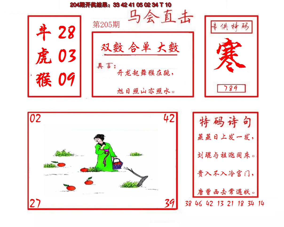 2024205期马会直击