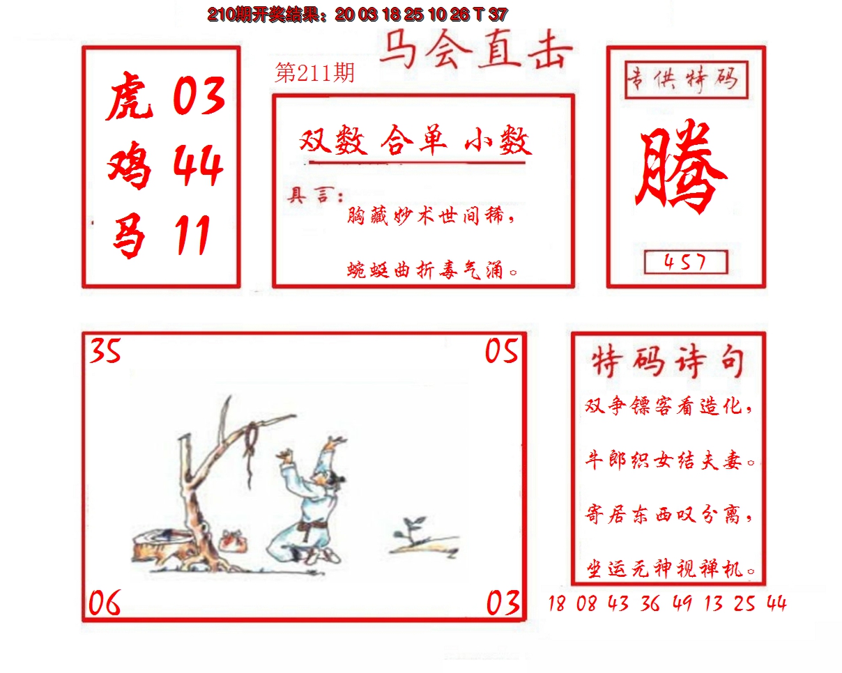 2024211期马会直击