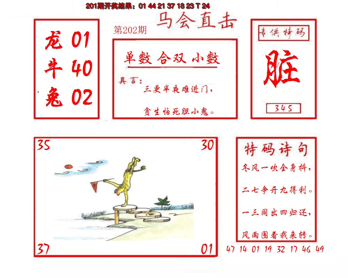 2024202期马会直击