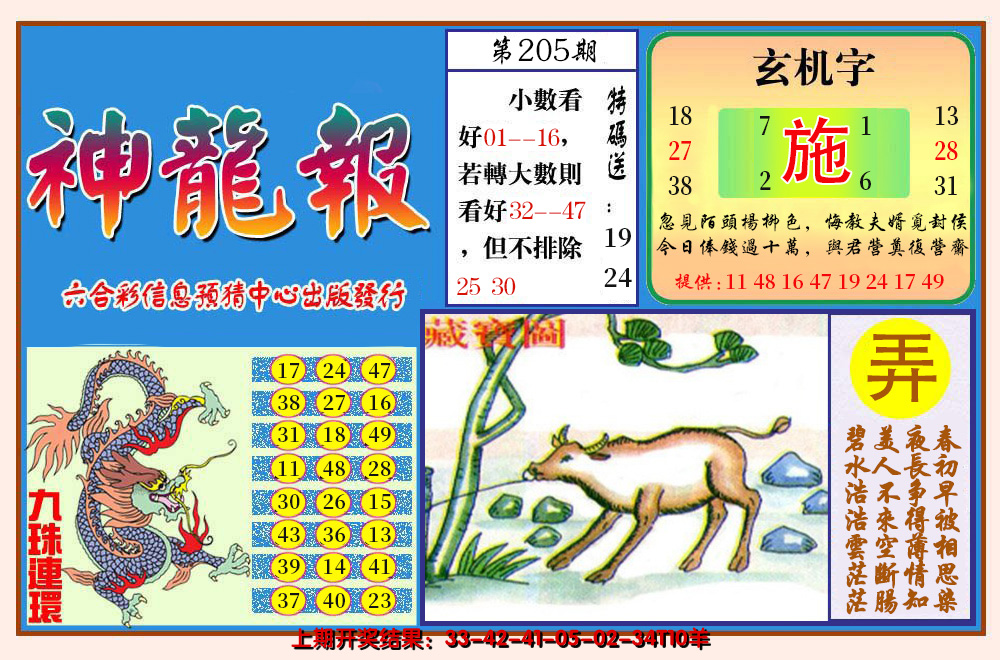 2024205期神龙报