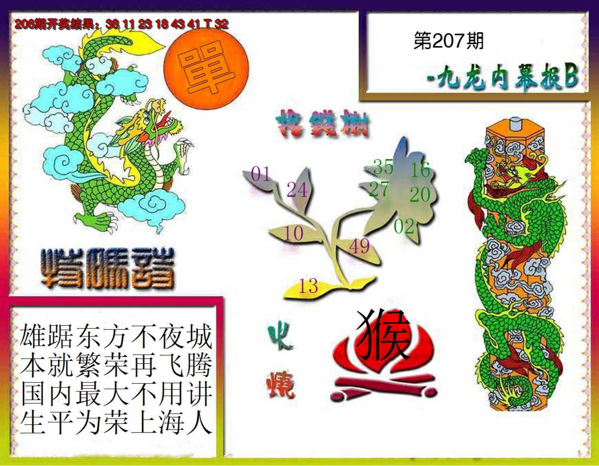 2024207期九龙内幕特肖图a