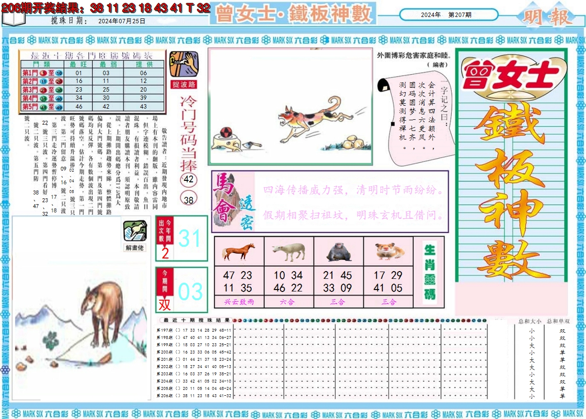 2024207期曾女士铁板神数A