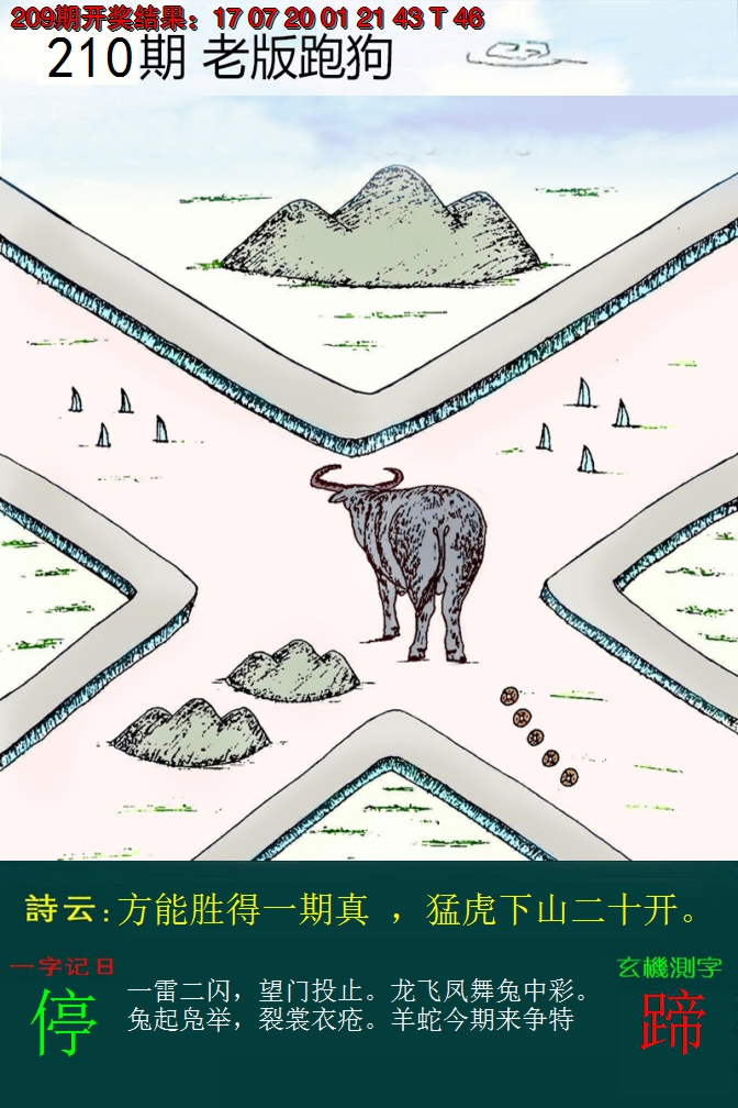 2024210期老版跑狗