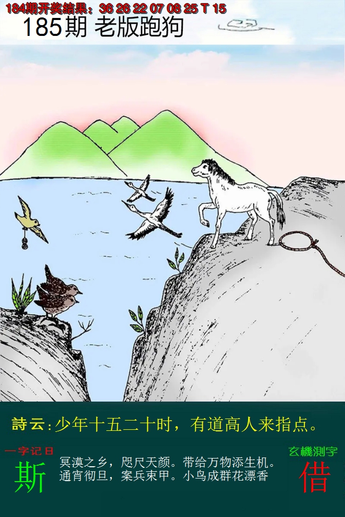 2024185期老版跑狗
