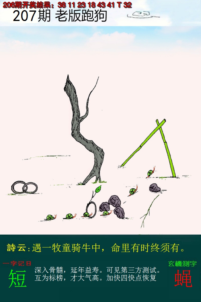 2024207期老版跑狗