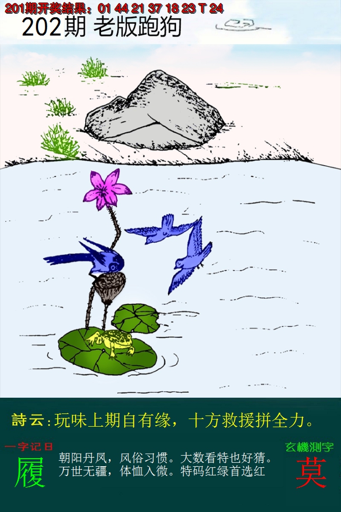 2024202期老版跑狗
