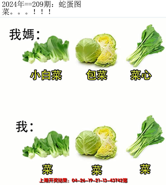 2024209期另版蛇蛋图