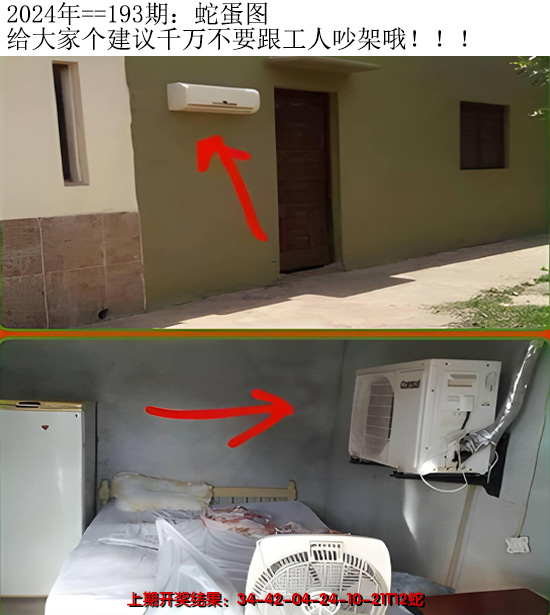 2024193期另版蛇蛋图
