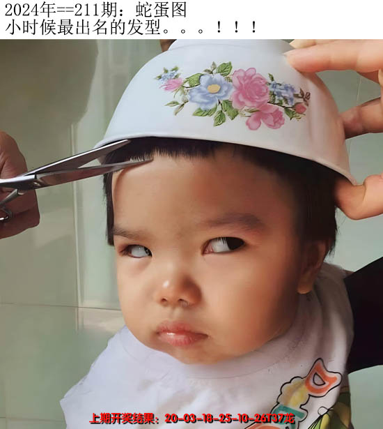 2024211期另版蛇蛋图