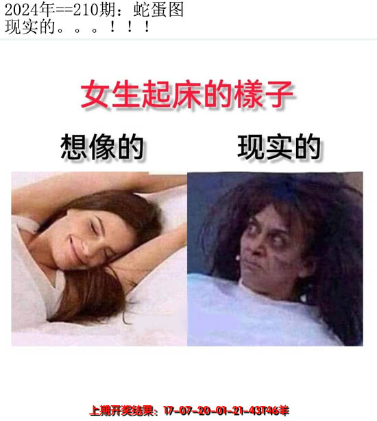 2024210期另版蛇蛋图