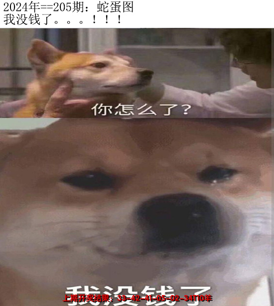 2024205期另版蛇蛋图
