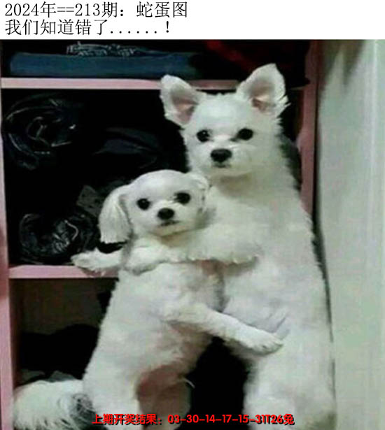 2024213期另版蛇蛋图