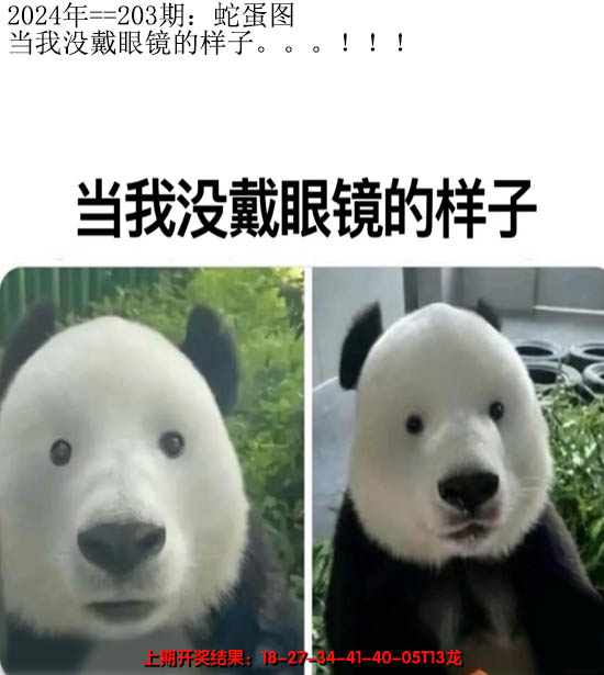 2024203期另版蛇蛋图