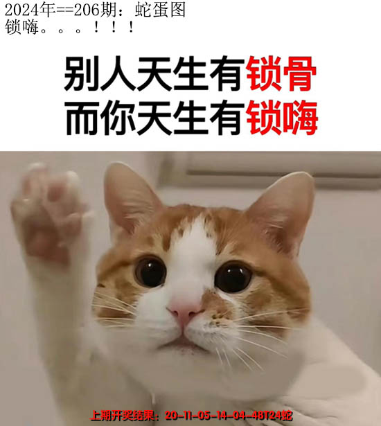 2024206期另版蛇蛋图