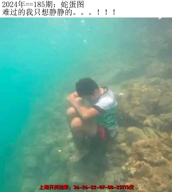2024185期另版蛇蛋图