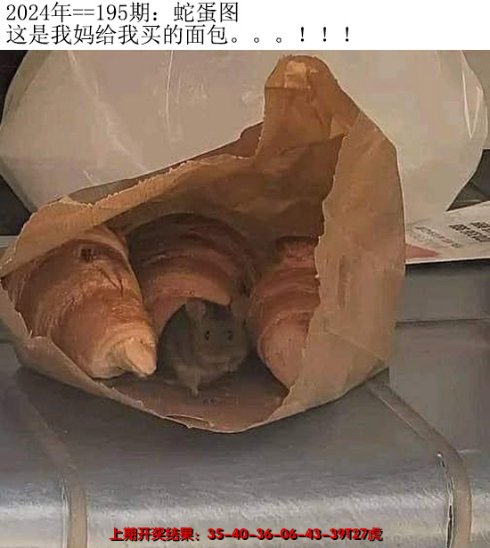2024195期另版蛇蛋图